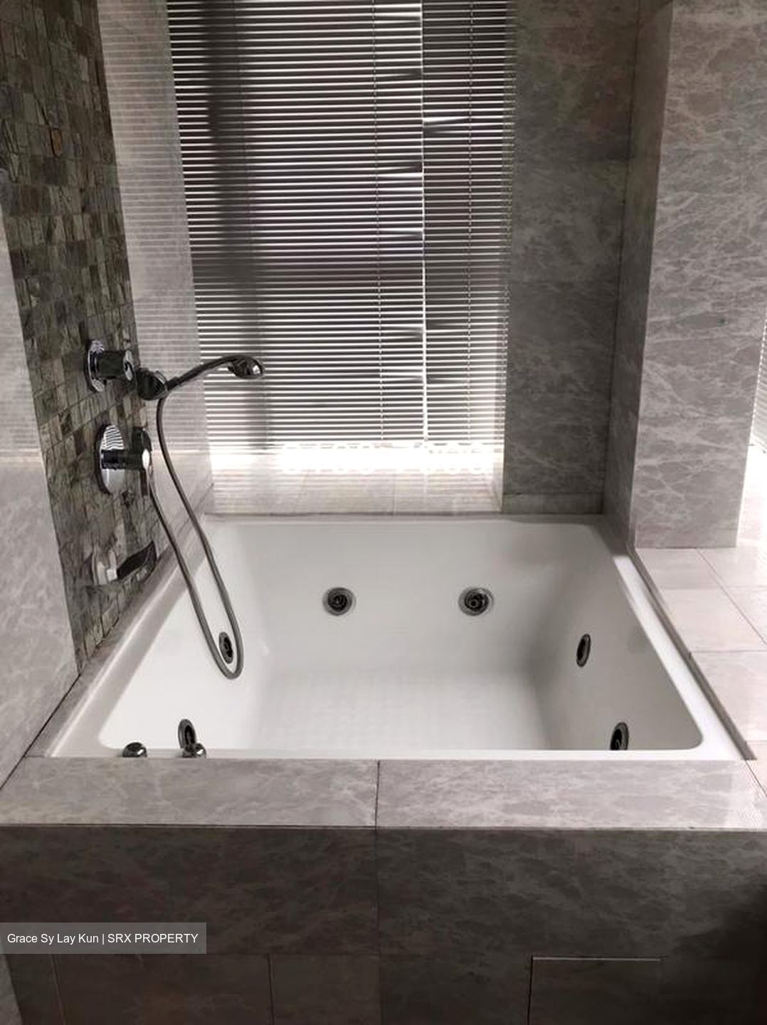 Angullia Park Residences @ Orchard (D10), Apartment #529312831
